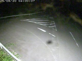 日南町神福