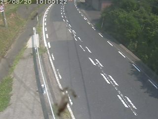 鳥取市越路