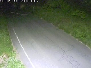 鳥取市洞谷