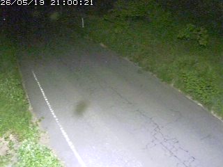鳥取市洞谷