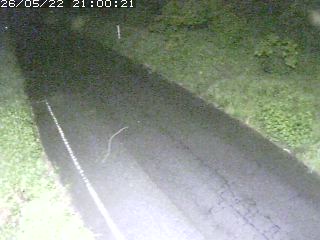 鳥取市洞谷