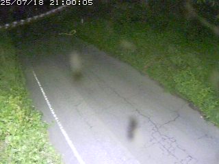 鳥取市洞谷