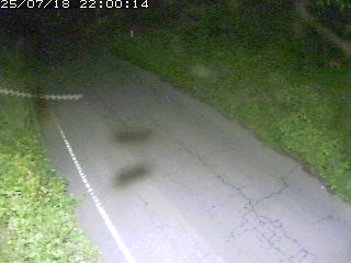 鳥取市洞谷