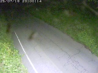 鳥取市洞谷