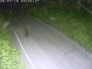 鳥取市洞谷