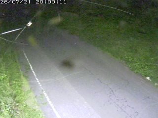 鳥取市洞谷