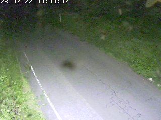 鳥取市洞谷