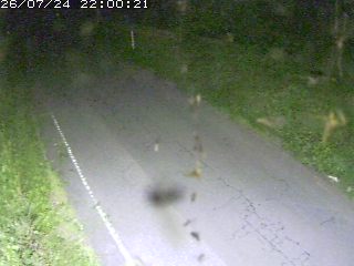 鳥取市洞谷