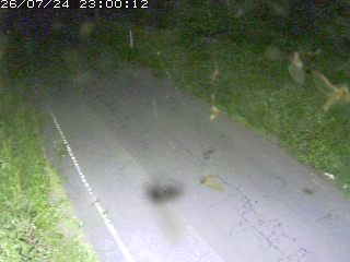 鳥取市洞谷
