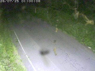 鳥取市洞谷