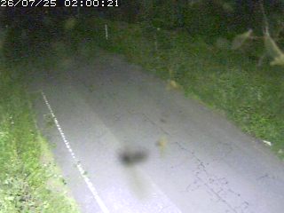 鳥取市洞谷