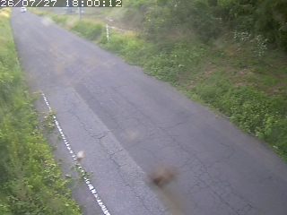 鳥取市洞谷