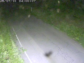 鳥取市洞谷