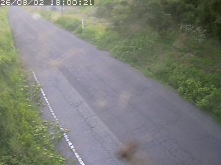 鳥取市洞谷