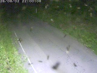鳥取市洞谷