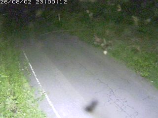 鳥取市洞谷