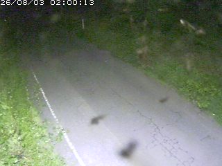 鳥取市洞谷