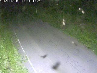 鳥取市洞谷
