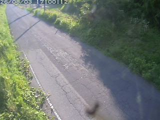 鳥取市洞谷