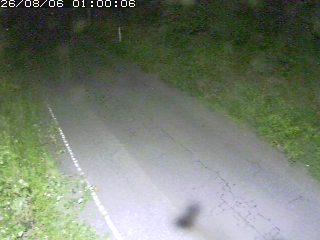 鳥取市洞谷