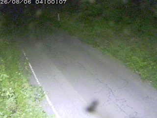 鳥取市洞谷