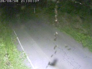 鳥取市洞谷