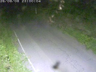 鳥取市洞谷