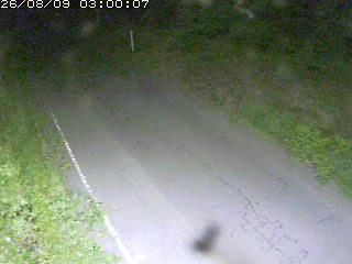 鳥取市洞谷