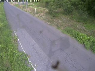 鳥取市洞谷