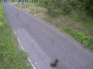 鳥取市洞谷