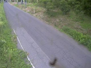 鳥取市洞谷