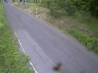 鳥取市洞谷