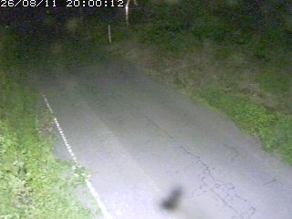 鳥取市洞谷
