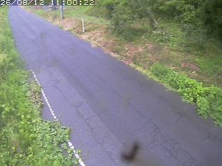 鳥取市洞谷