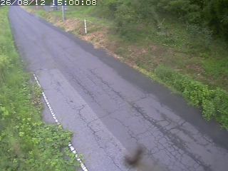 鳥取市洞谷
