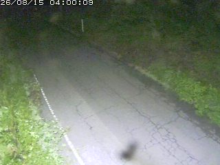 鳥取市洞谷