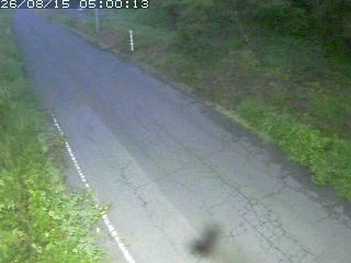鳥取市洞谷