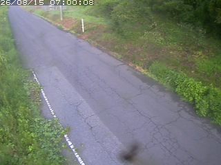 鳥取市洞谷