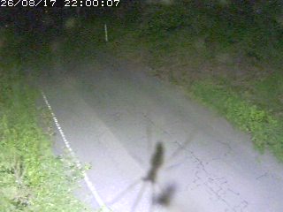 鳥取市洞谷