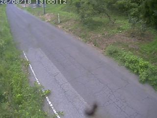 鳥取市洞谷