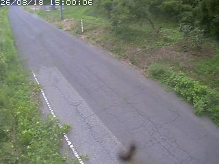 鳥取市洞谷