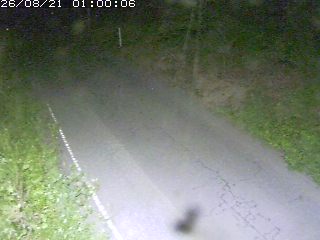 鳥取市洞谷