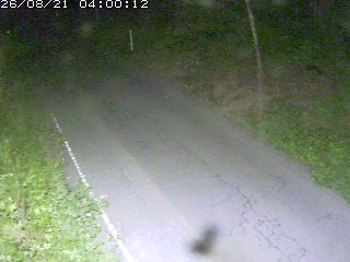 鳥取市洞谷