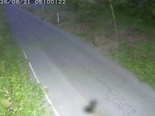 鳥取市洞谷