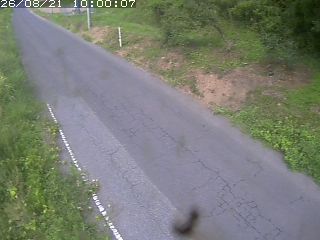 鳥取市洞谷