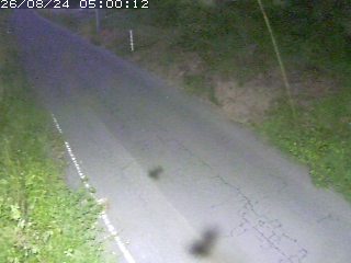鳥取市洞谷
