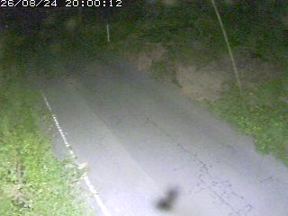鳥取市洞谷