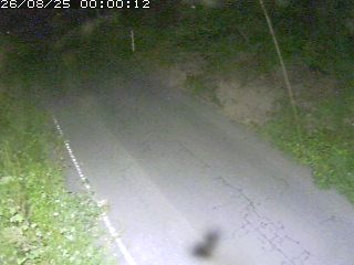 鳥取市洞谷