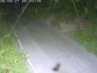 鳥取市洞谷