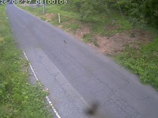 鳥取市洞谷